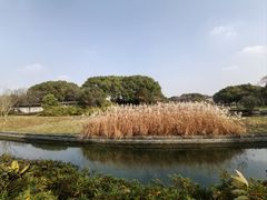-蠡湖大桥公园