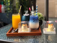 -柴犬高等学院·狗咖·柴犬售卖·宠物训练