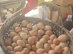 -马陆小张葡萄园农家乐