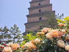 -大慈恩寺(大雁塔)