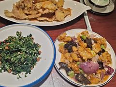 -邵年鸽(杨庄店)