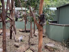 -费瑟代尔野生动物园