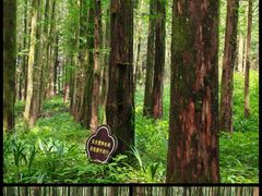 -山王坪喀斯特国家生态公园