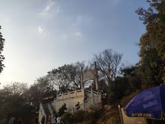 -紫金山山顶公园