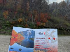 -龙道沟景区