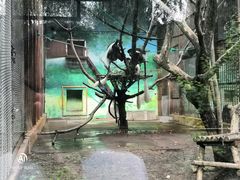 -棋盘山风景区