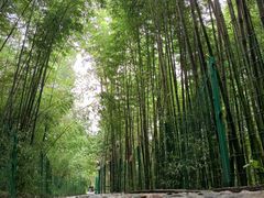 -四门塔风景区