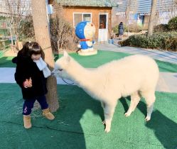 -萌宠亲子动物乐园(槐房万达店)