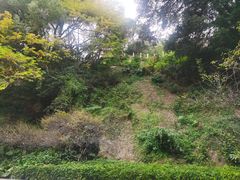 -乌山风景区