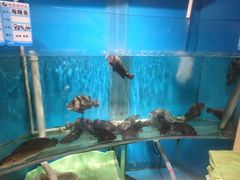 -福泉海码头(六里山店)