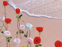 -玫瑰海岸文化旅游度假区