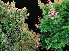 -丽江三义国际机场