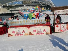 -沈阳奥体冰雪嘉年华