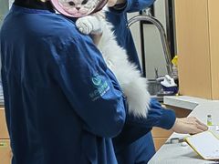 -联合动物医院(光谷诊疗中心)