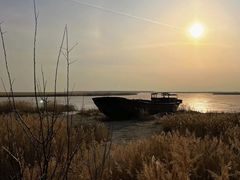 -哈素海