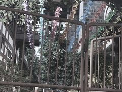 -五七油焖大虾(合川总店)