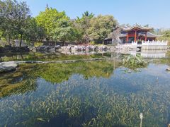 -顺峰山公园