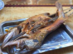 -新疆风味冷水鱼庄(友谊峰路店)