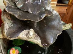 -品茶居素食馆(罗湖店)