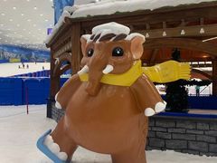 -长沙湘江冰雪世界