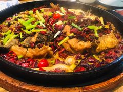 -老板恋上鱼(恒隆广场店)