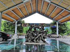 -雅安楠水阁温泉酒店