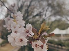 -宗角禄康公园