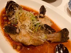 -三号黄浦会Canton Table