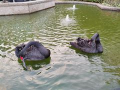 -南京圣和府邸豪华精选酒店