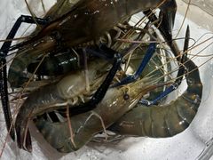 -椰子湾·海南火锅·糟粕醋·椰子鸡(正大广场店)