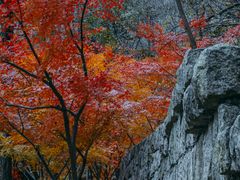 -崂山九水游览区