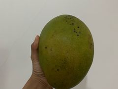-三亚新鸿港水果一级批发市场