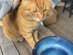 -趣飞飞黑麋峰国际滑翔伞基地