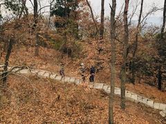 -东湖磨山景区