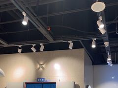 -林溪晚亭脆皮烤鱼(藁城店)