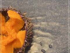 -海胆小馆(东北水饺·春柳店)