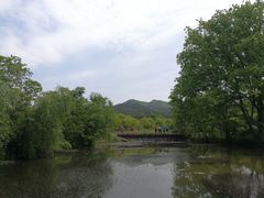 -黄陂区野村谷景区