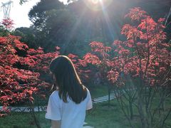 -广州市帽峰山景区