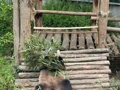 -黔灵山公园