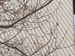 -中国科学技术馆影院