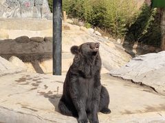 -云南野生动物园