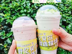 -茉酸奶(春熙路店)
