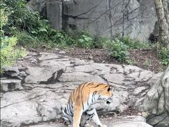 -宁波野生动物园