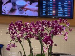 -逸派咖啡 EPARKCOFFEE(广安门店)