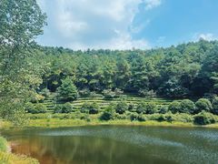 -九龙潭景区