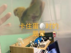 -雨林宠物医院·异宠专科(浦东分院)