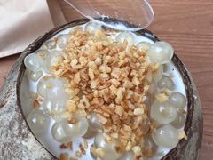 -椰爺爺·椰子冻砵仔糕