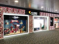 -日上免税行(浦东机场五店)