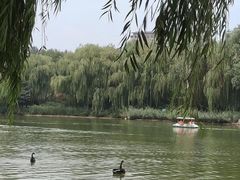 -河北省园博园