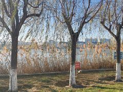 -南开大学滨海学院